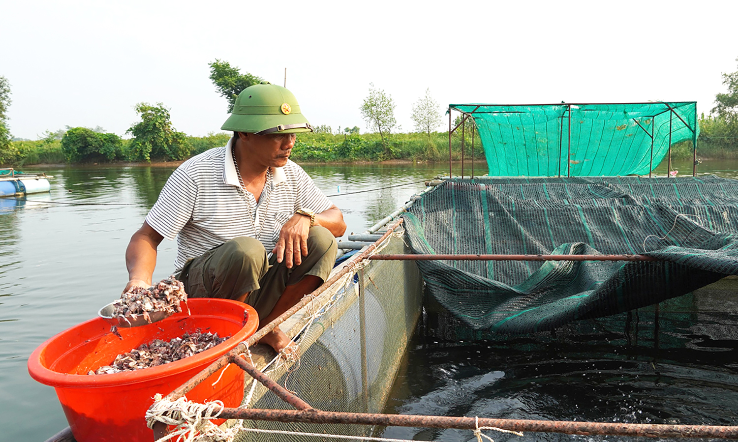 Sản lượng khai thác và nuôi trồng tăng 6,5% so cùng kỳ