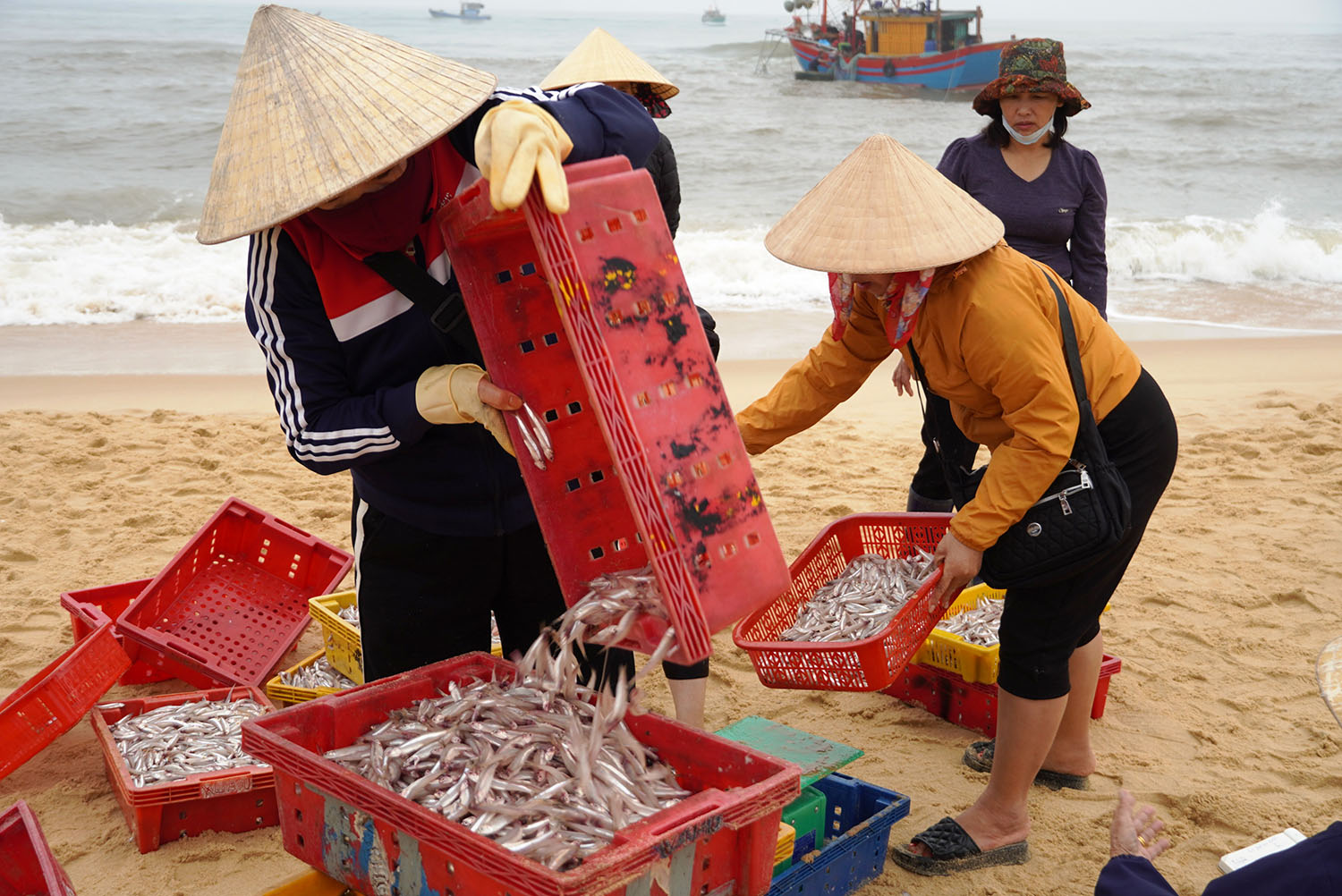 Giá trị sản xuất nông, lâm nghiệp và thủy sản ước đạt trên 10.300 tỷ đồng