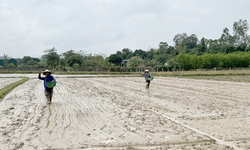 Chuẩn bị các điều kiện sản xuất vụ đông-xuân