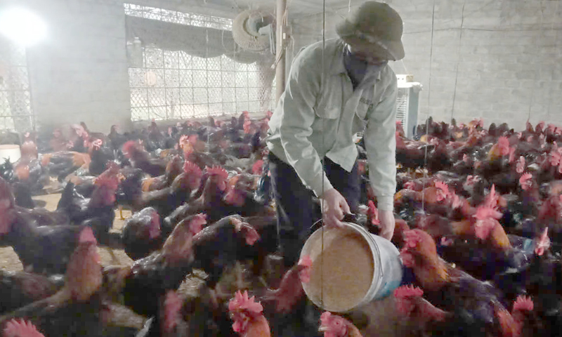 Nông dân Tuyên Hóa thi đua sản xuất, kinh doanh giỏi