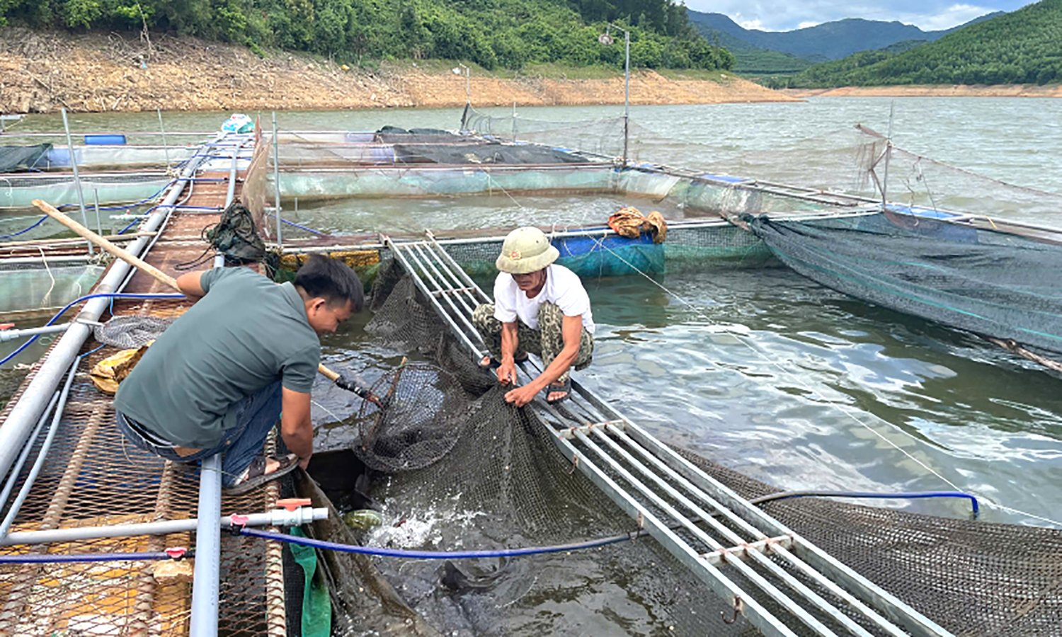 Nuôi cá lồng trên hồ đập thuỷ lợi: Hướng đi mới hiệu quả cao