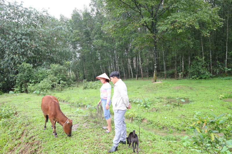 Tuyên truyền bảo vệ, phát triển rừng thông qua ERPA