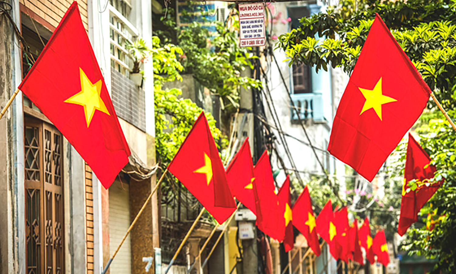 Thông báo về việc nghỉ Tết Dương lịch năm 2025 và treo Quốc kỳ