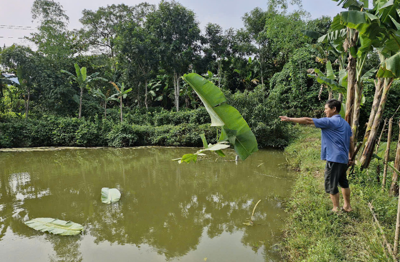 Mô hình gia trại của ông Nguyễn Viết Xuân, tiểu khu Đồng Tân cho lãi ròng mỗi năm trên 100 triệu đồng.