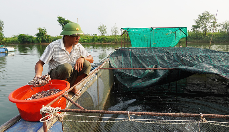 Huyện khuyến khích người dân mở rộng các đối tượng nuôi mới để phát triển kinh tế, nâng cao thu nhập.