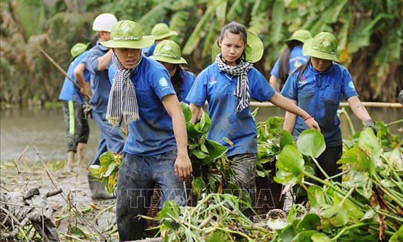 Thanh niên, sinh viên tình nguyện TP Hồ Chí Minh tham gia vớt lục bình, khơi thông dòng chảy tại rạch Ông Tổng, quận Gò Vấp. Ảnh tư liệu: An Hiếu/TTXVN