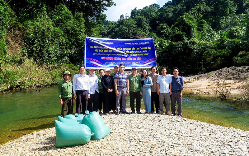 Trường đại học Quảng Bình phối hợp thực hiện nhiệm vụ khoa học sản xuất giống cá niên.