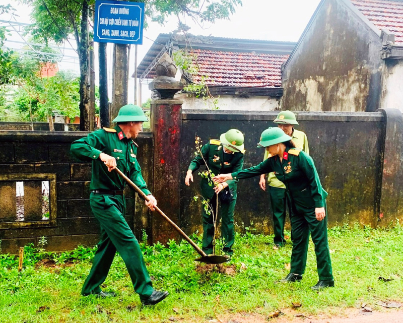 Hội viên CCB tham gia trồng cây xanh tại các tuyến đường tự quản.