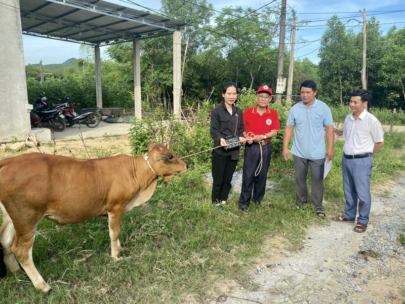 Nhiều hộ nghèo được hỗ trợ sinh kế để phát triển sản xuất, vươn lên thoát nghèo.