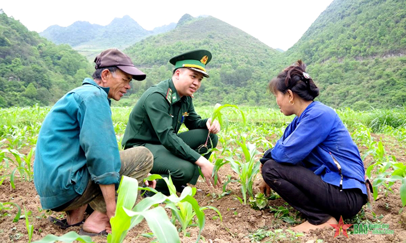 Cán bộ Đồn Biên phòng Lũng Nặm, Bộ đội Biên phòng tỉnh Cao Bằng hướng dẫn người dân kỹ thuật chăm sóc cây ngô. Ảnh: HUY DƯƠNG 