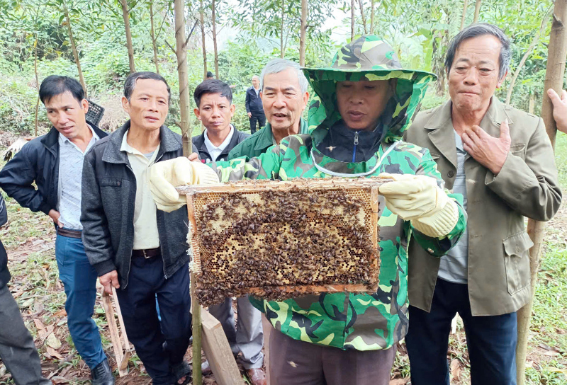 Hội viên CCB xã Đồng Hóa tham gia lớp tập huấn nuôi ong lấy mật.