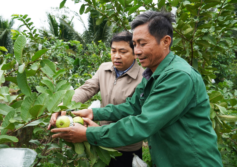 Mô hình trang trại tổng hợp đem lại thu nhập hơn 3 tỷ đồng/năm cho gia đình ông Trần Thiện Thuật.