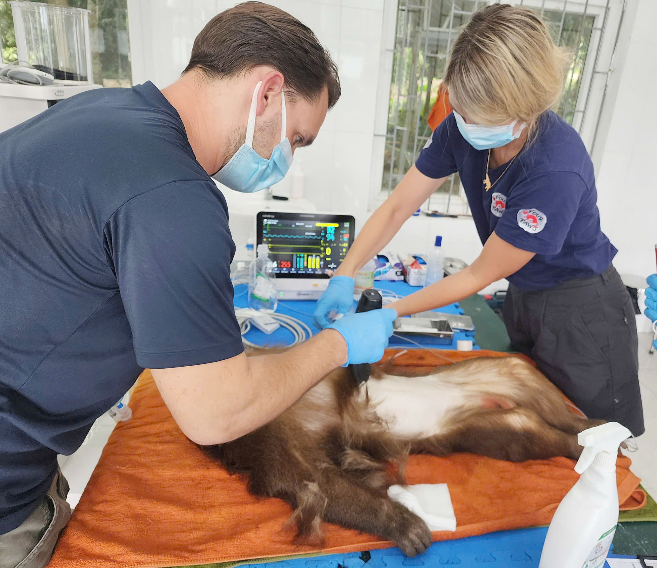 Tỷ lệ cứu hộ thành công động vật hoang dã đạt 94%