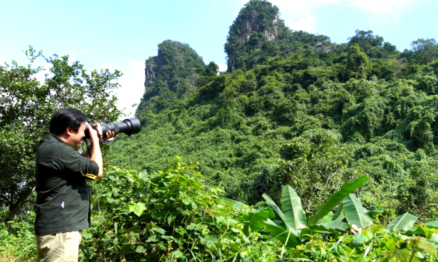 Theo những cánh chim bay…