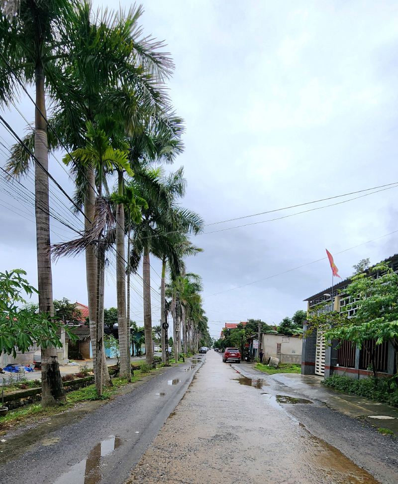 Khu dân cư Lộc Long (Xuân Ninh) đổi thay rõ nét trên hành trình xây dựng NTM kiểu mẫu.