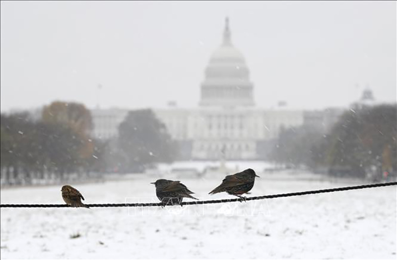 Tuyết rơi nặng hạt ở Washington D.C. Ảnh tư liệu-minh họa: THX/ TTXVN