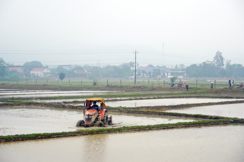 Nông dân huyện Tuyên Hóa làm đất để trồng lúa.