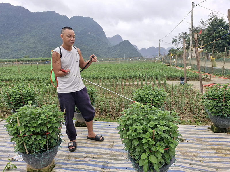 Anh Nguyễn Văn Vinh đang chăm sóc vườn hoa.