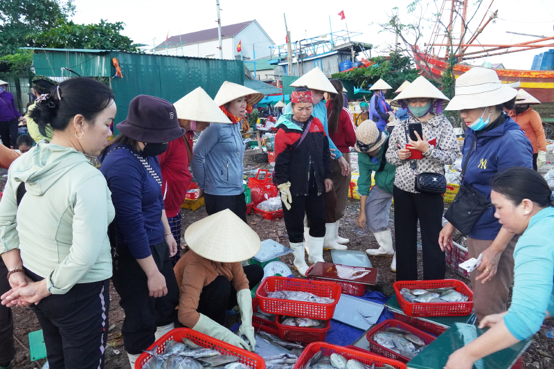 Mua bán hải sản tấp nập ở chợ cá. 