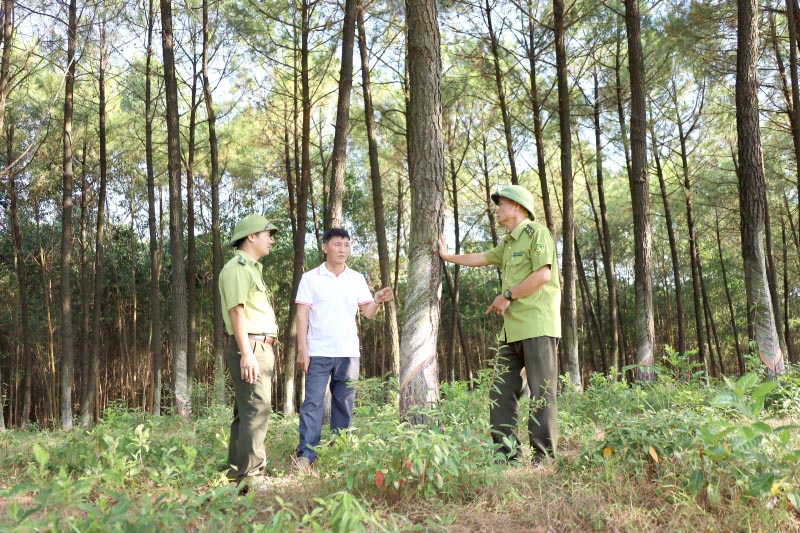 Lực lượng Kiểm lâm tỉnh chú trọng các giải pháp quản lý bảo vệ và phát triển rừng theo hướng bền vững.