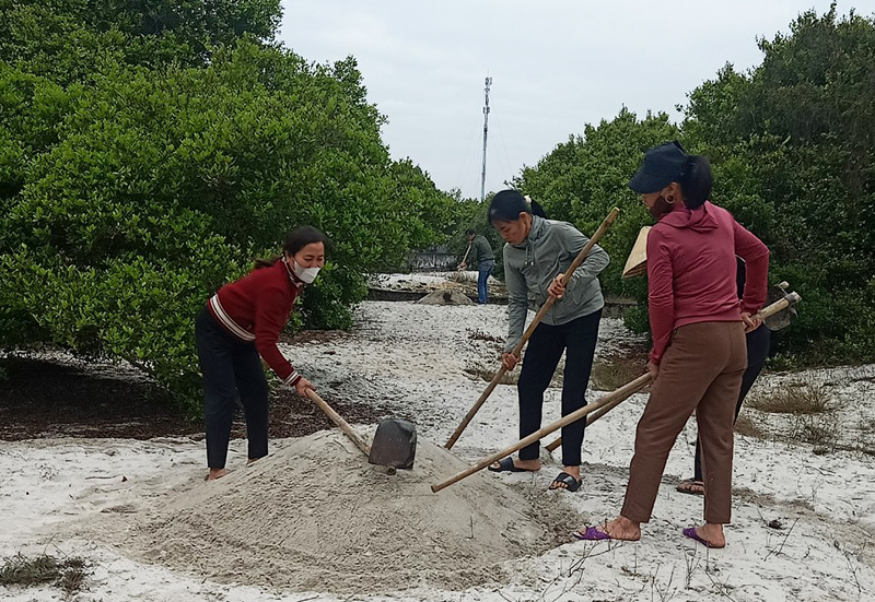 Tảo mộ vô danh dưới rặng trâm bầu ở làng Đông Dương
