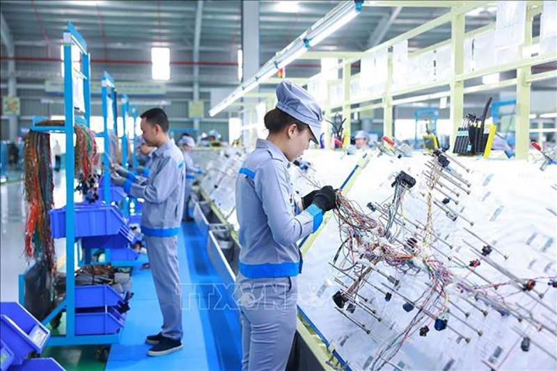 Đôn đốc triển khai thực hiện các kịch bản tăng trưởng của từng địa phương năm 2025