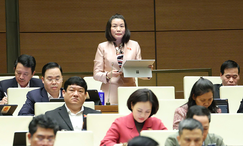 Đoàn đại biểu Quốc hội tỉnh: Thảo luận về các dự án luật và dự thảo nghị quyết