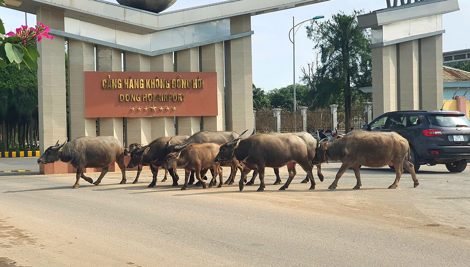 Giữa đường chợt thấy