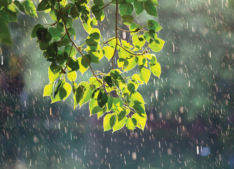 Mưa Đồng Hới
