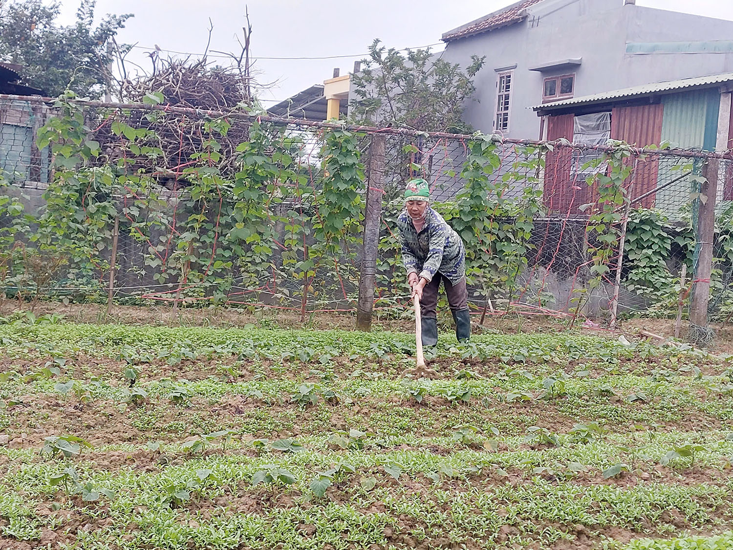 Giải ngân gần 190 tỷ đồng cho hộ nghèo, gia đình chính sách vay phát triển kinh tế