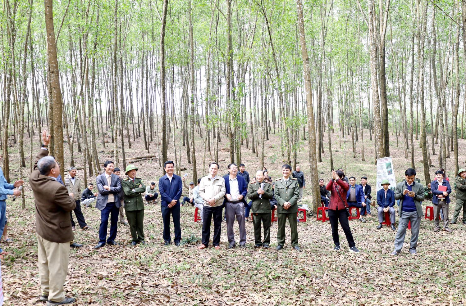 "Gỡ khó" để nhân rộng rừng gỗ lớn