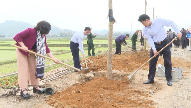 Năm 2025, huyện Minh Hóa phấn đấu trồng mới hơn 900 ha rừng các loại.