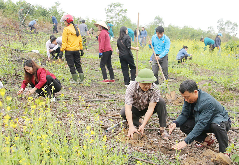 Lãnh đạo huyện Tuyên Hóa trồng cây sau buổi lễ phát động.