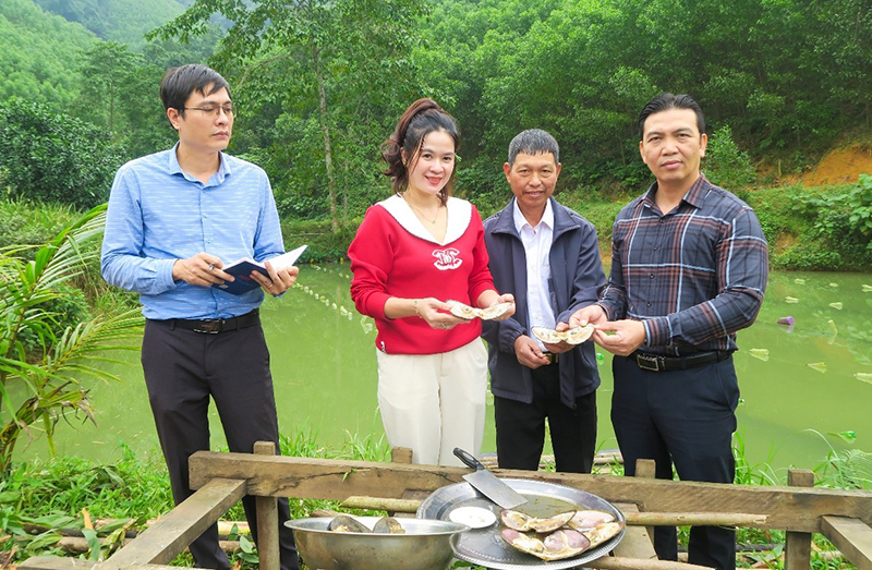 Mô hình “Nuôi trai lấy ngọc nước ngọt tại xã Kim Hóa, huyện Tuyên Hóa” đạt hiệu quả cao.