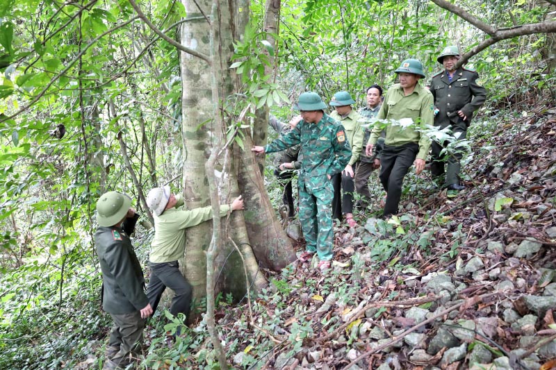 Đoàn công tác liên ngành xã Thượng Hóa phối hợp tuần tra rừng trong dịp Tết.