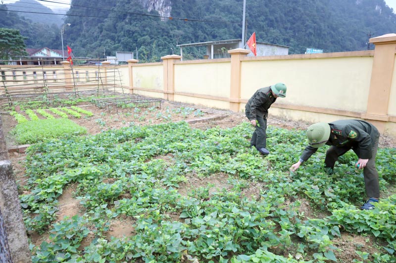 Tranh thủ thời gian rỗi, cán bộ Trạm Kiểm lâm Thượng Hóa trồng thêm rau xanh để cải thiện đời sống.