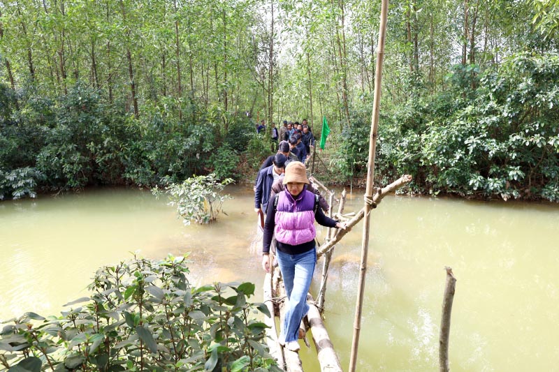 Nhiều diện tích đất trồng rừng kinh tế ở xã Kim Thủy nằm xa khu vực dân cư, khó nhân rộng mô hình RGL.