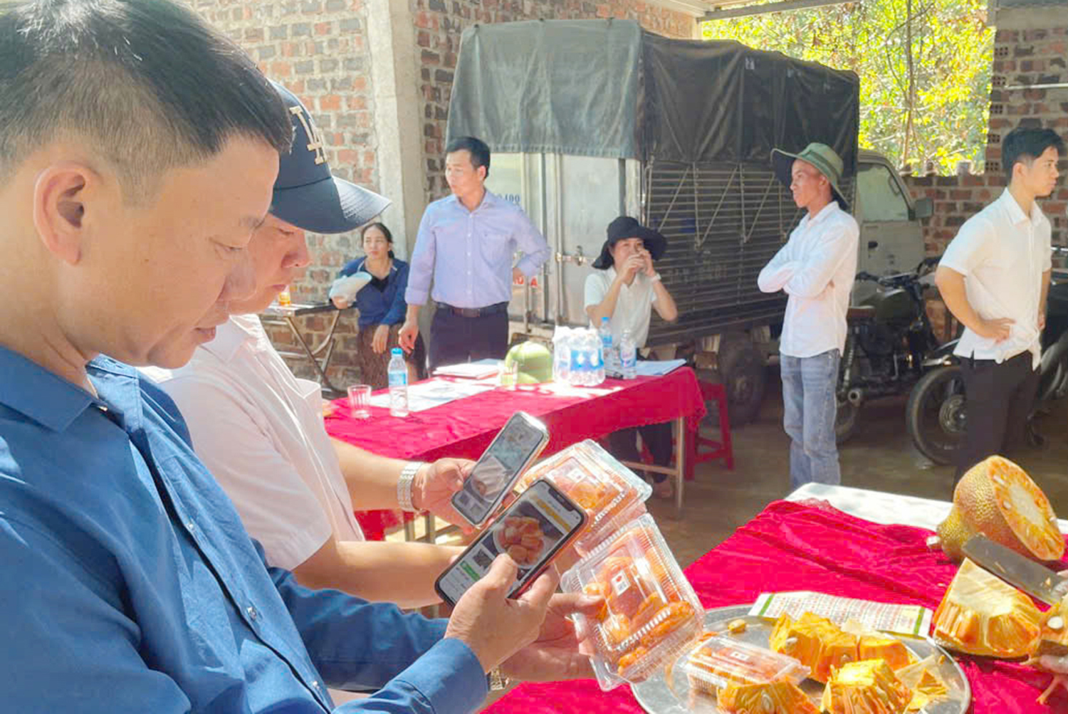 Tiếp tục triển khai các giải pháp thúc đẩy, hỗ trợ nông dân