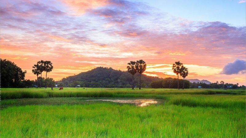 Tháng ba, hương đồng gió nội
