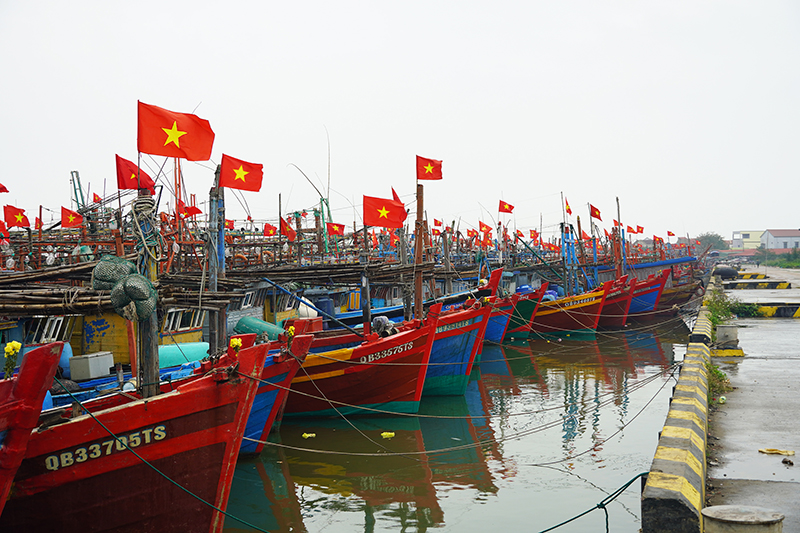 Quảng Trạch: Trúng chuyến biển, nhiều tàu cá thu về hàng trăm triệu đồng