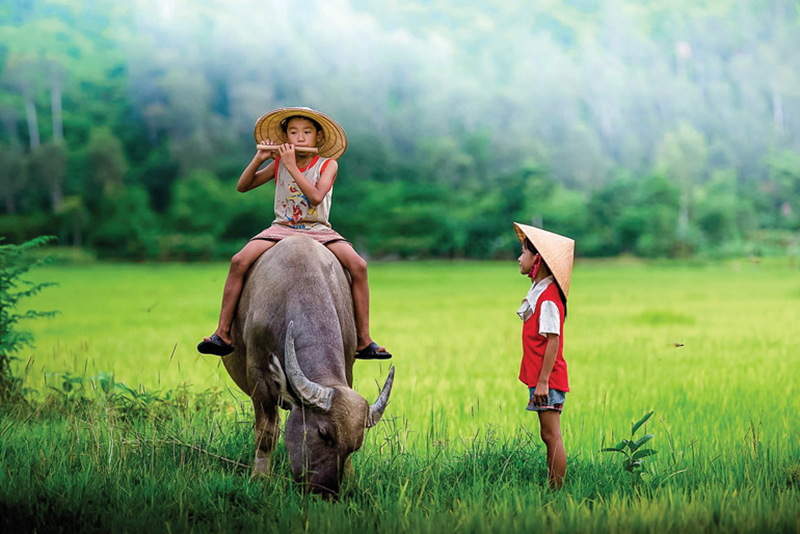 Mẹ và quê