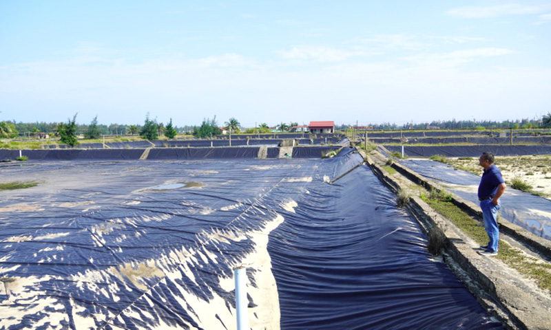 Giải phóng mặt bằng dự án Đường ven biển: Khẩn trương xử lý dứt điểm các vướng mắc