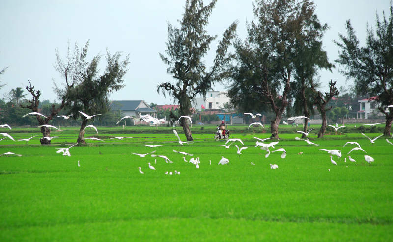 Quảng Bình muôn vẻ