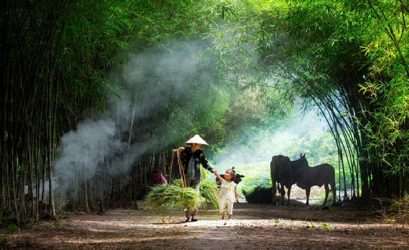 Vẫn thế quê hương