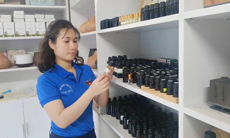 Chị Trần Thị Hồng Vân lựa chọn sản phẩm tinh dầu tràm để khởi nghiệp.