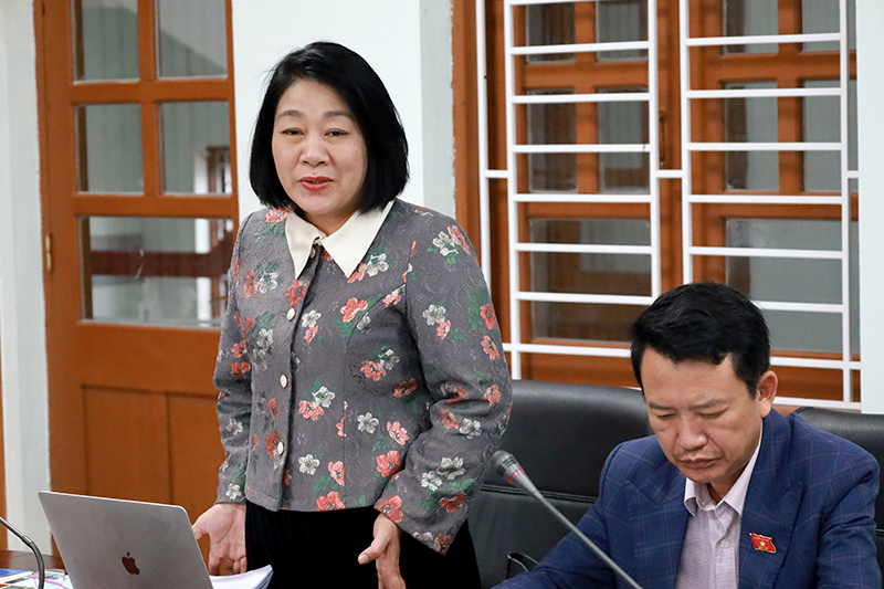 Đồng chí Nguyễn Thị Tuyết Nga, Ủy viên chuyên trách Ủy ban Văn hóa và Xã hội của Quốc hội phát biểu tại buổi giám sát.