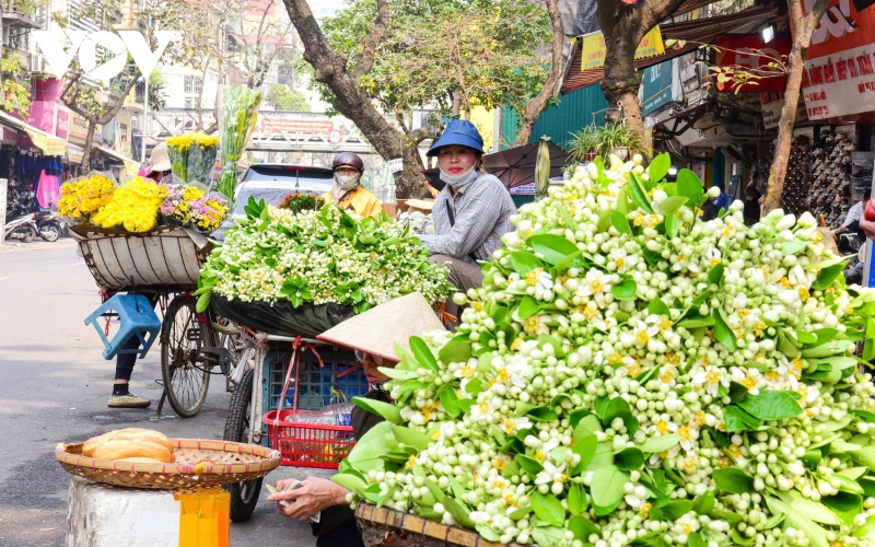 Hoa bưởi xuống phố. Nguồn Internet