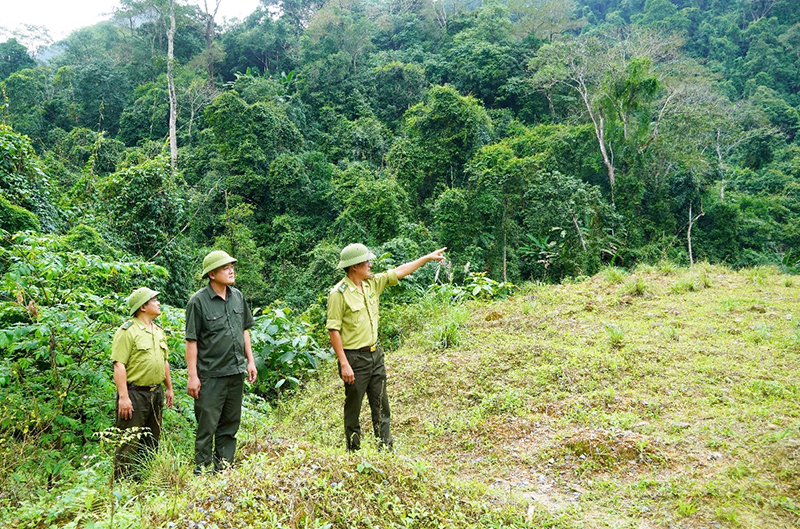 Lực lượng chức năng huyện Quảng Ninh tuần tra, kiểm soát bảo vệ rừng.