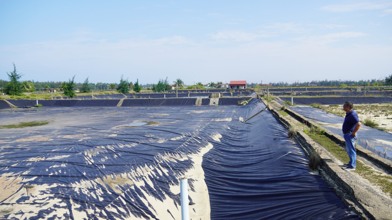 Hiện, Hội đồng thẩm định cấp tỉnh đã thống nhất phương án xác định và xử lý tài sản bị ảnh hưởng có tính liên hoàn của các trang trại NTTS.