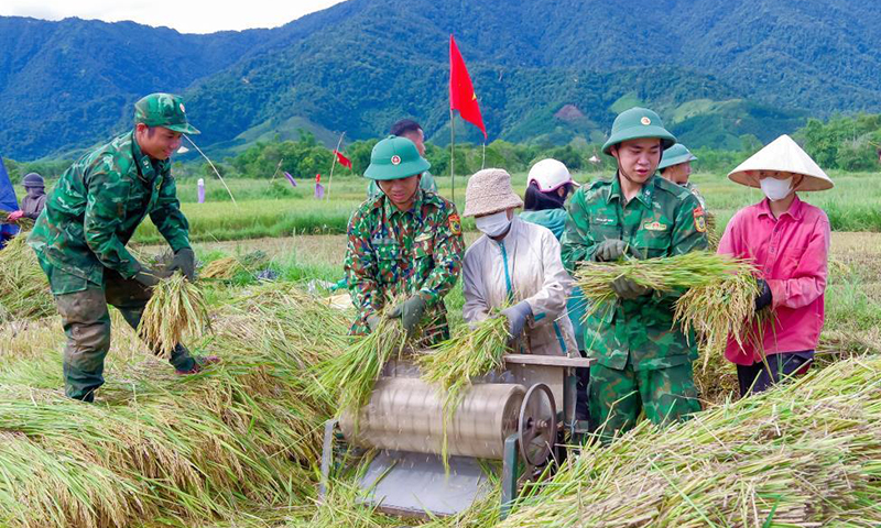 Cán bộ, chiến sĩ Đồn Biên phòng cửa khẩu A Đớt, BĐBP thành phố Huế cùng với ĐVTN địa phương xuống đồng thu hoạch lúa giúp dân. Ảnh: Võ Tiến